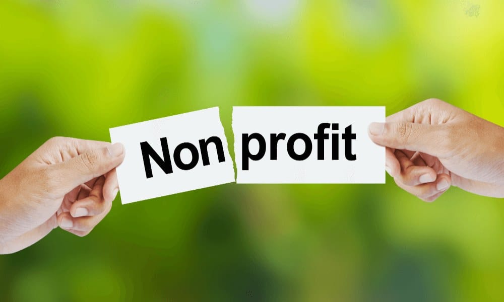 Non-Profit Organizations