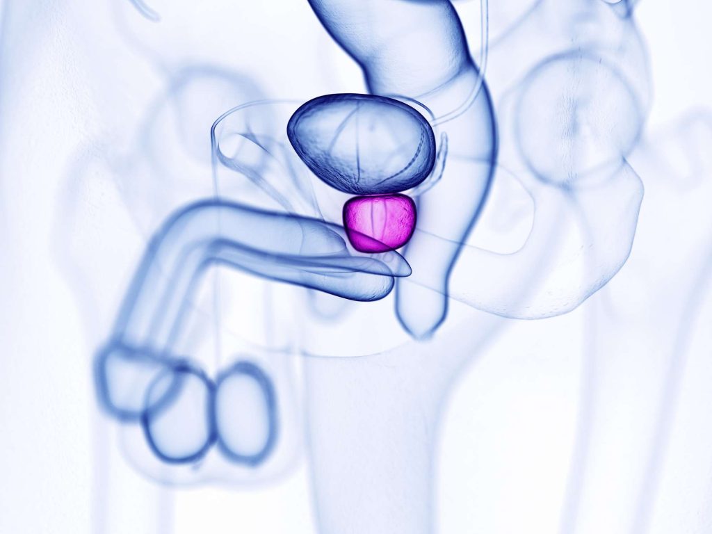 The Rising Trend of Prostate Massage: Why More Men Are Embracing It